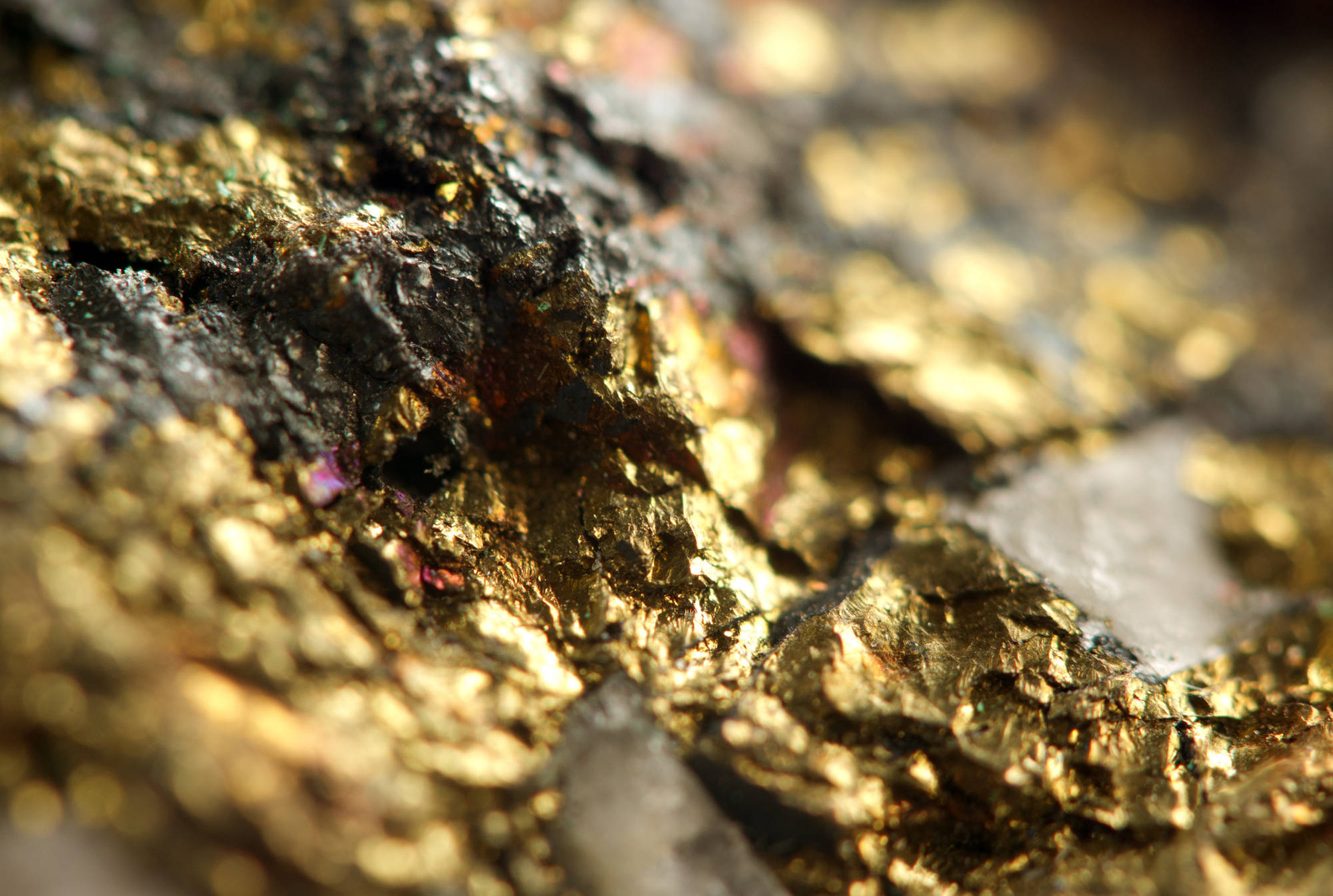 Golden background. Macro