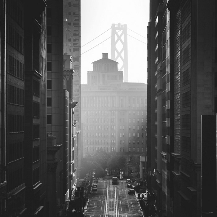 Downtown San Francisco with famous California Street illuminated in first golden morning light at sunrise in summer, San Francisco, California, USA