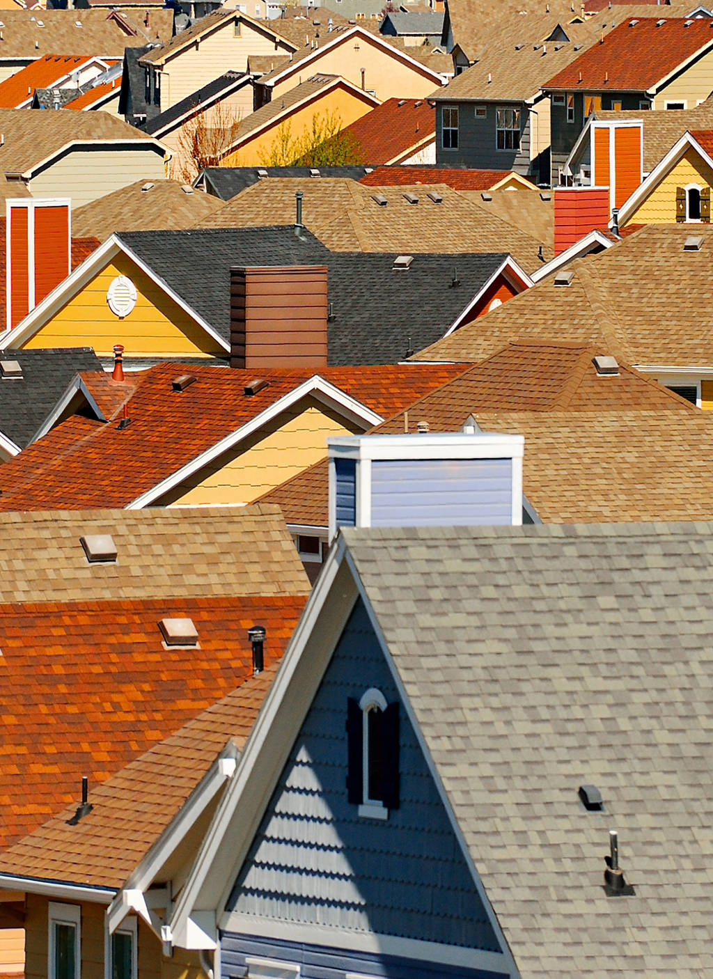 Timber buildings for sustainable cities | Pictet Asset Management ...
