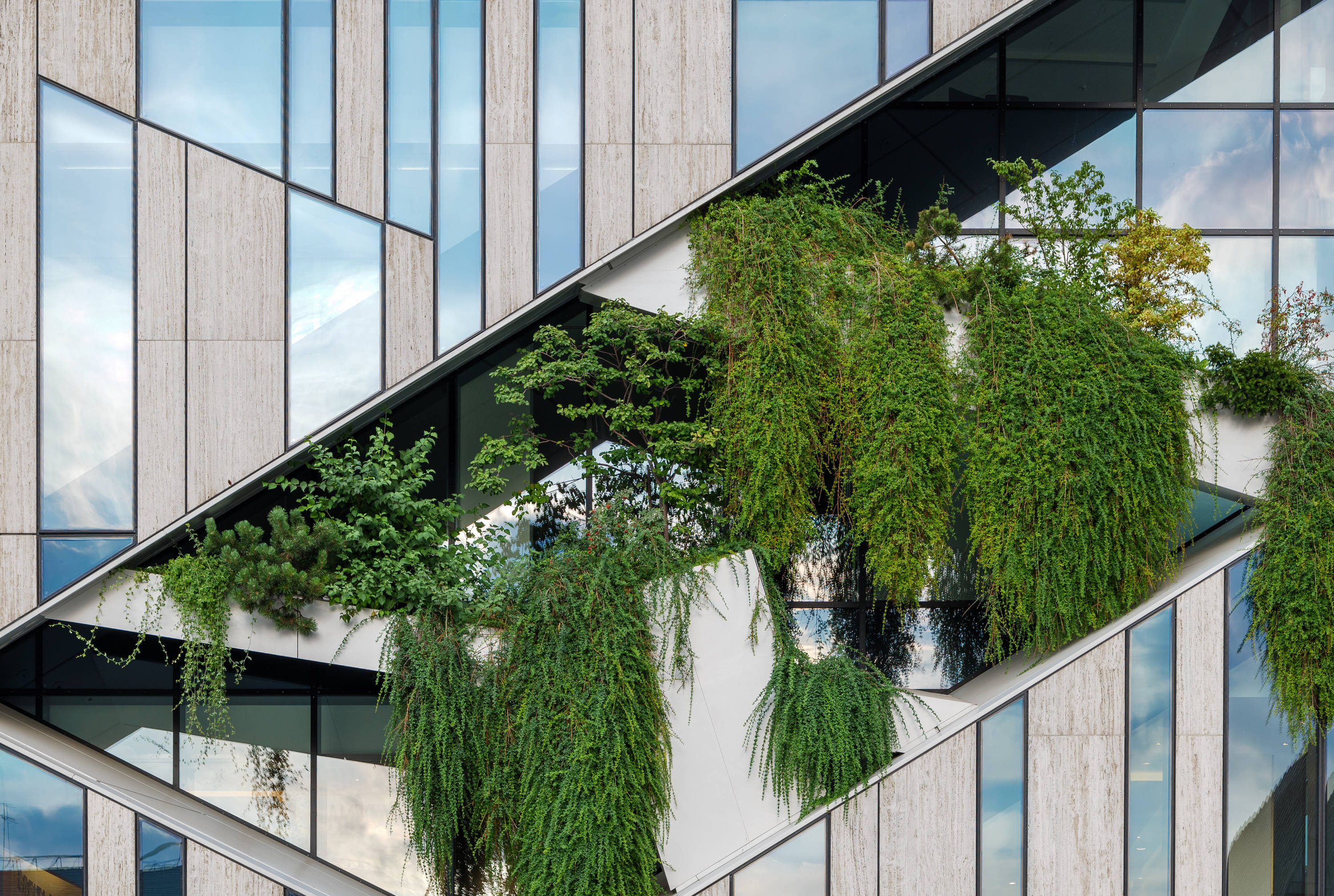 Emerging market leaders: beyond tech giants | Pictet Asset Management  Singapore