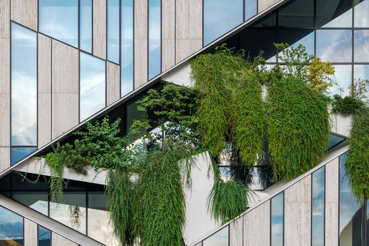 Close up detail of green sustainable facade with plants growth between gap of modern facade.  Architectural Geometry green elements background.