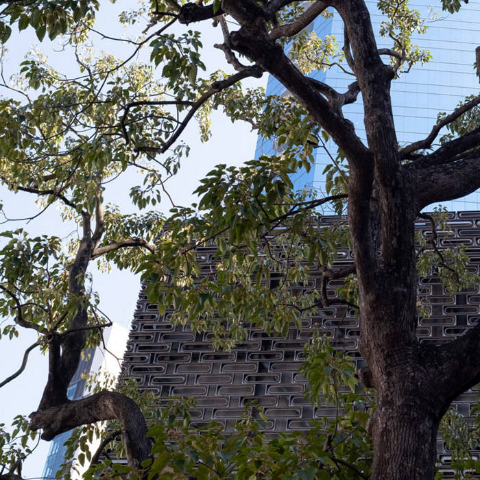 Pictet Chinese Local Currency Debt LU2280527529 Pictet Asset