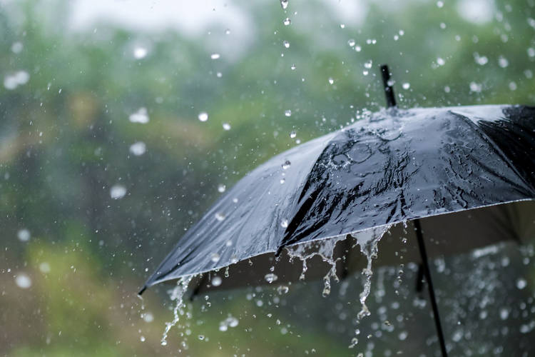 It's raining heavily, wearing an umbrella during the rainy season