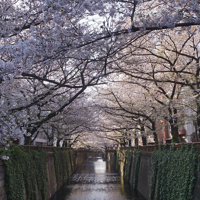 Pictet Private Assets SICAV Pictet Real Estate Capital Elevation Core