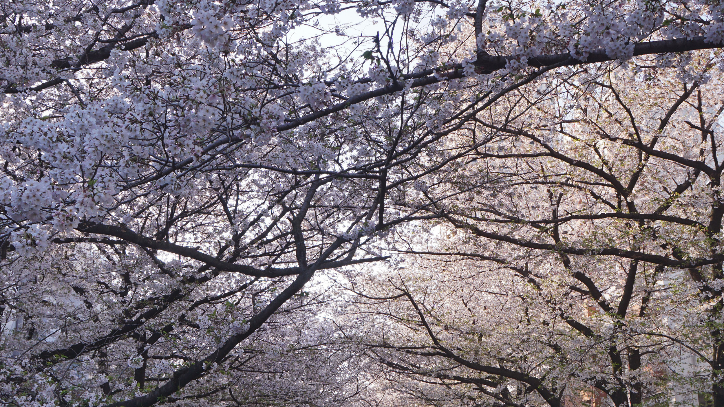 Private equity coinvestment Pictet Asset Management