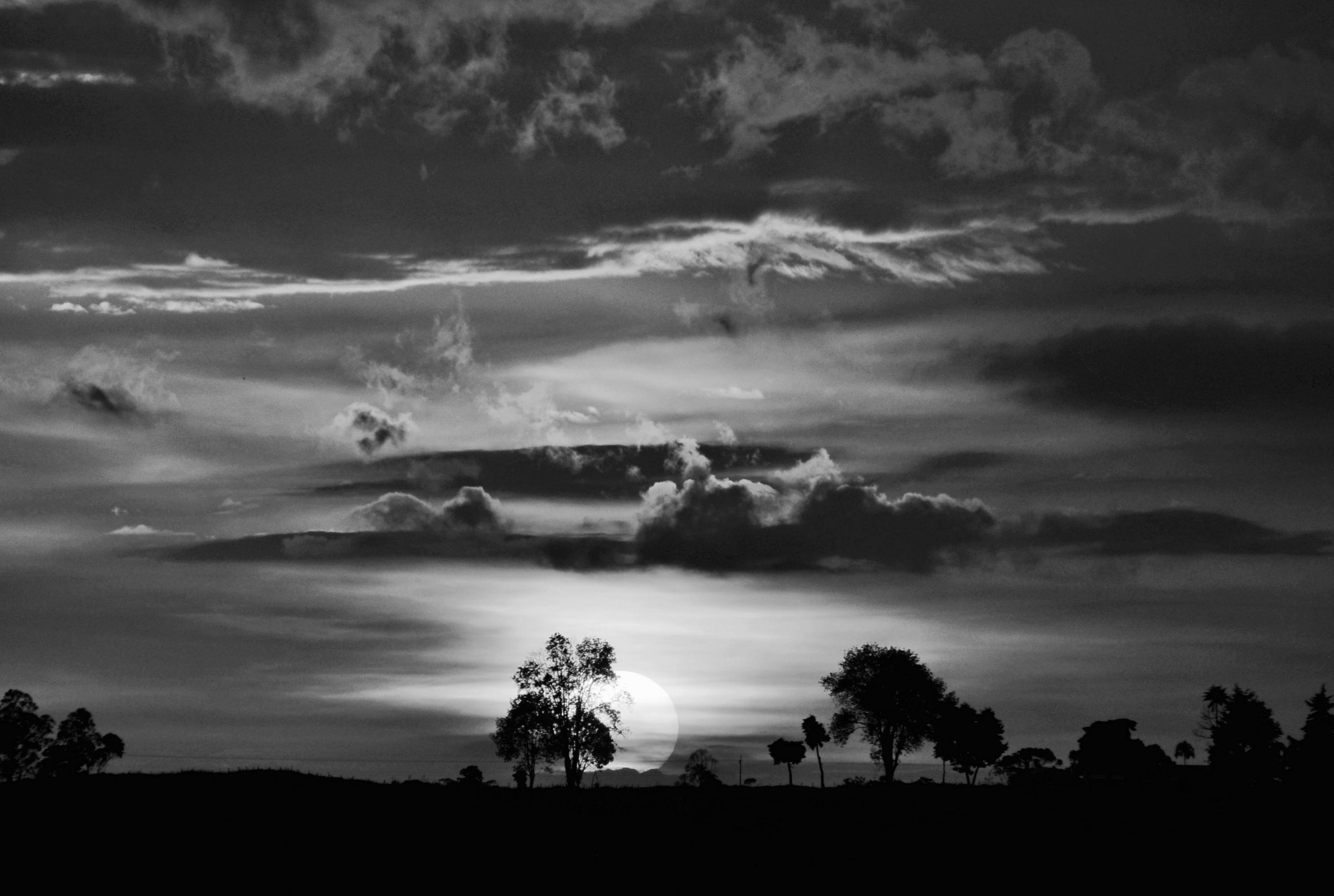 October Barometer of financial markets outlook | Pictet Asset Management  Hong Kong SAR