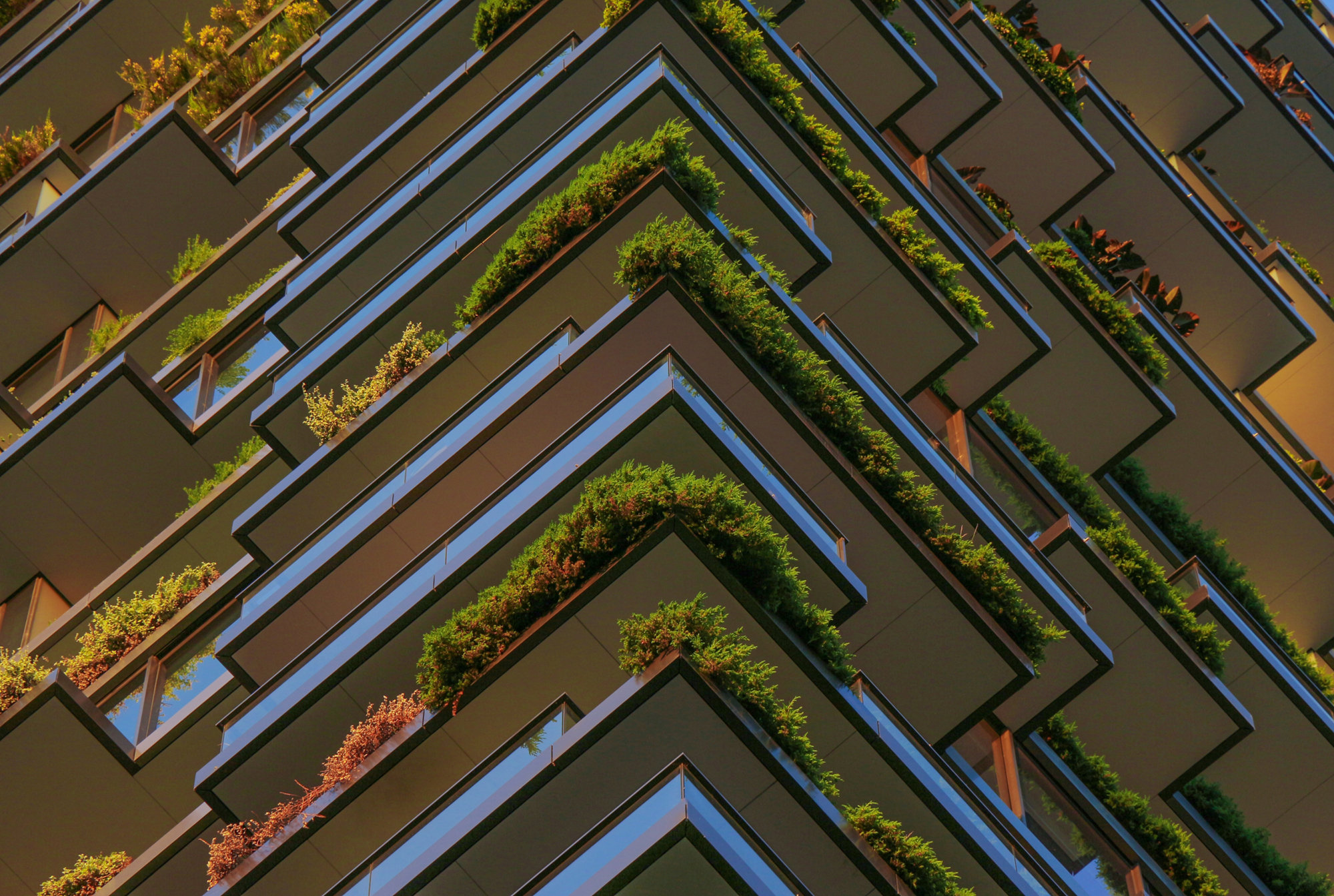 Full Frame Shot of Plants Hanging in the Balconies of a High Riser Building.