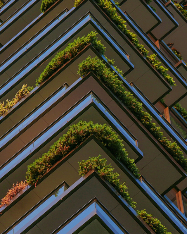 Full Frame Shot of Plants Hanging in the Balconies of a High Riser Building.