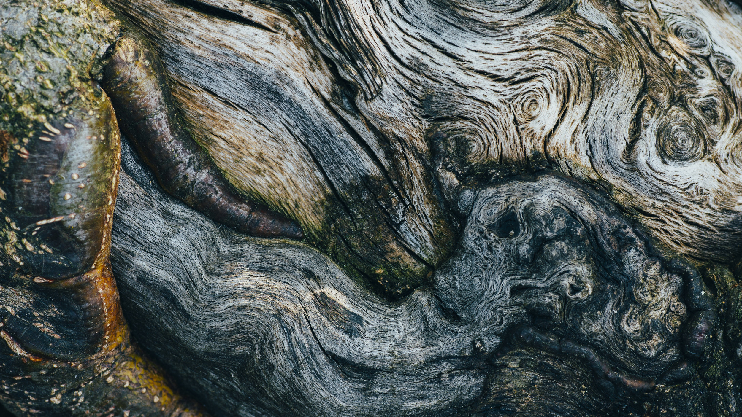 Thematic equities as impact investments Pictet Asset Management