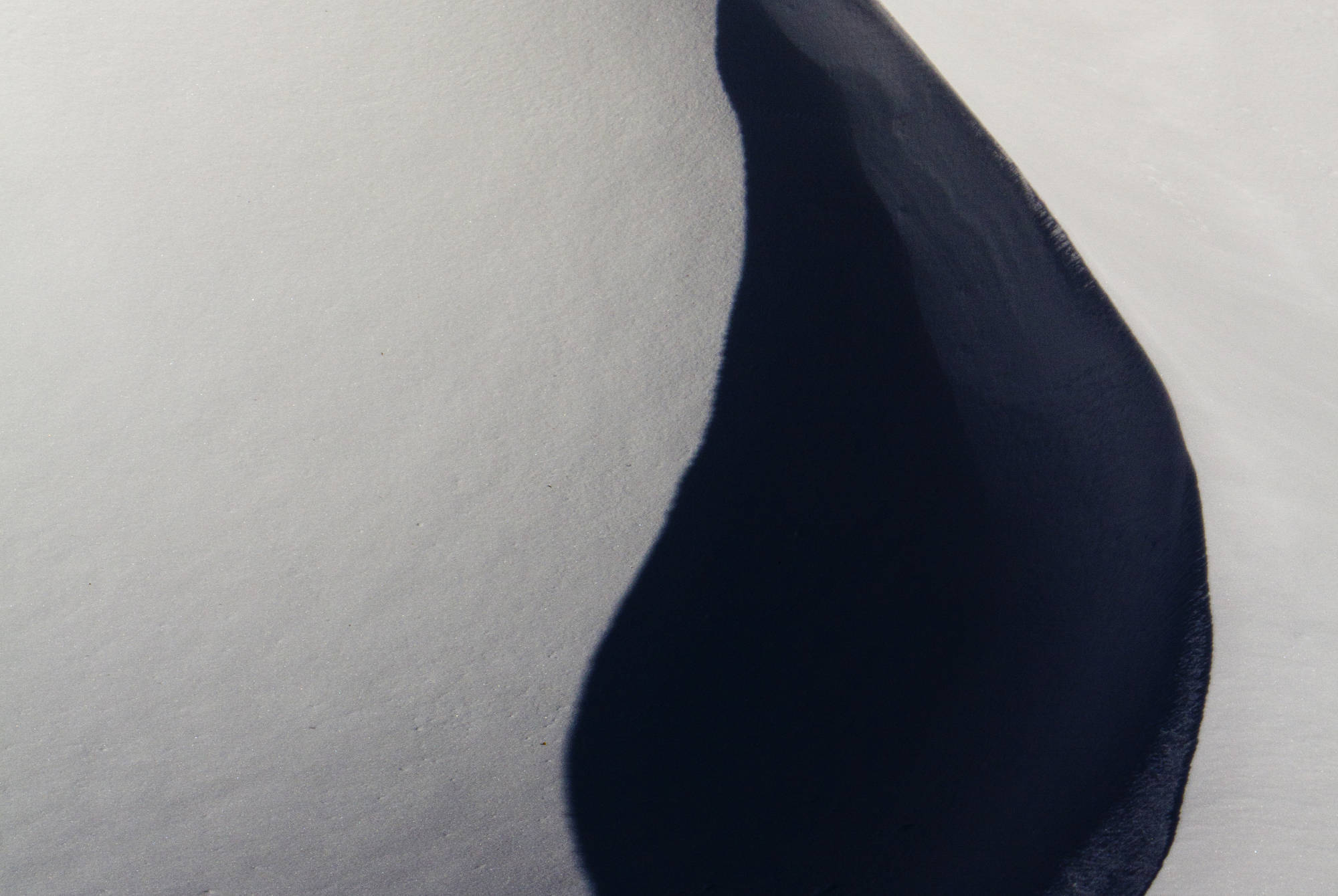 Snow in the National Park of Abruzzo in Italy